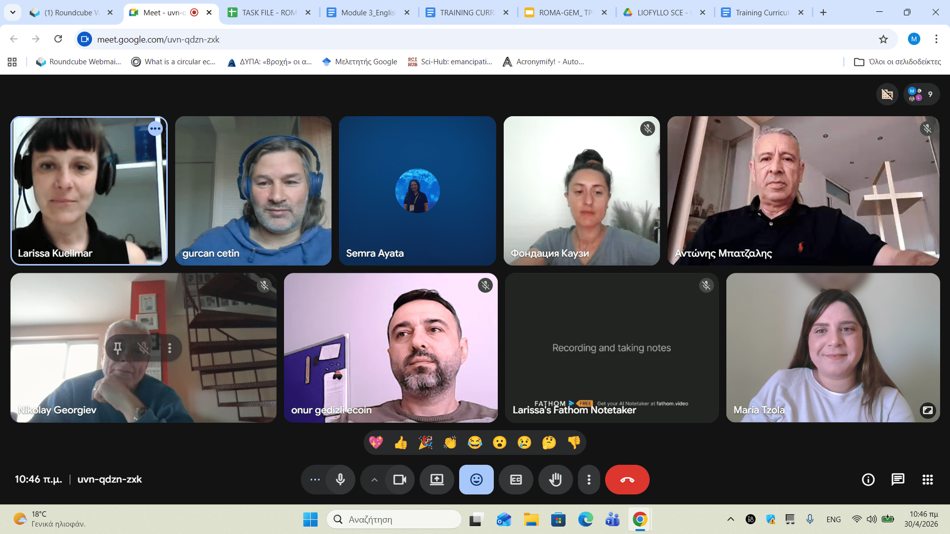 Consortium Meeting Roma GEM 1